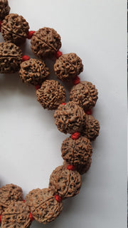 5 Face Nepali Rudraksha knotted Prayer Kantha Mala Necklace 32+1 Beads in India, UK, USA, All Country