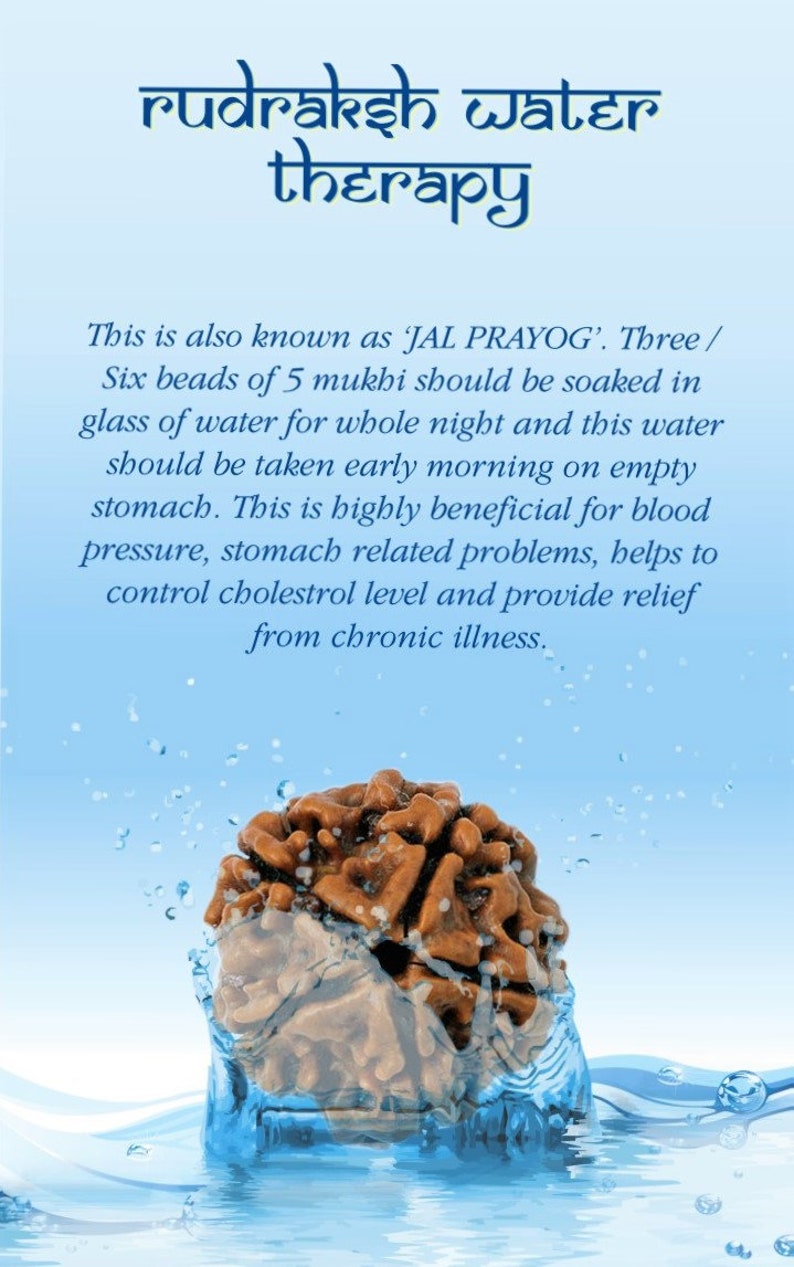 5 Mukhi Nepali Rudraksha Bead Water Therapy in India, UK, USA, All Country