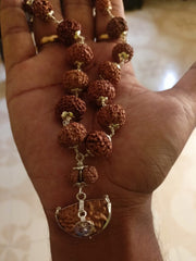 Natural 1 to 14 Mukhi Java Rudraksha Beads Mala in Pure Silver 18 to 20mm Rudraksha Size in India, UK, USA, All Country