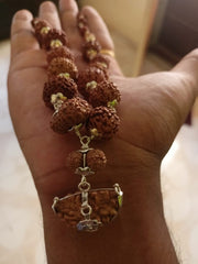 Natural 1 to 14 Mukhi Java Rudraksha Beads Mala in Pure Silver 18 to 20mm Rudraksha Size in India, UK, USA, All Country