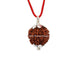 Natural Ganesh Face Java Rudraksha with Silver Capping in India, UK, USA, All Country