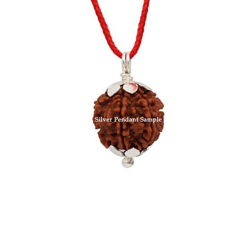 Natural 7 Face Nepali Rudraksha - Lab Certified with Silver Capping in India, UK, USA, All Country