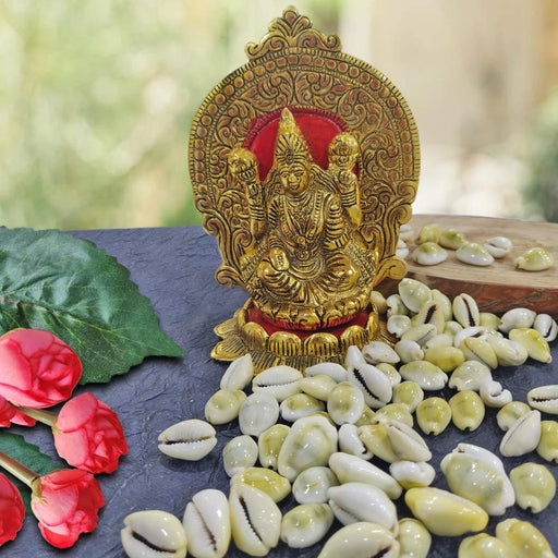 Natural Original Yellow Kawdi for Laxmi Pooja in India, UK, USA, All Country