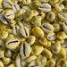 Natural Original Yellow Kawdi for Laxmi Pooja in India, UK, USA, All Country